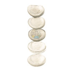 Intervertebral Disc Cervical Model